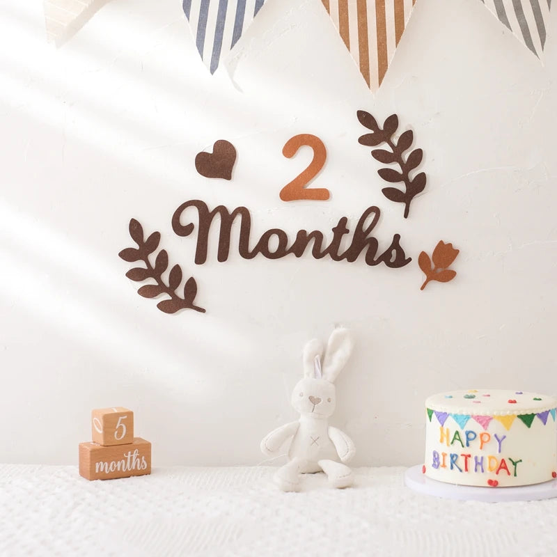 Felt Newborn Photography Milestone Props 0-12 Months