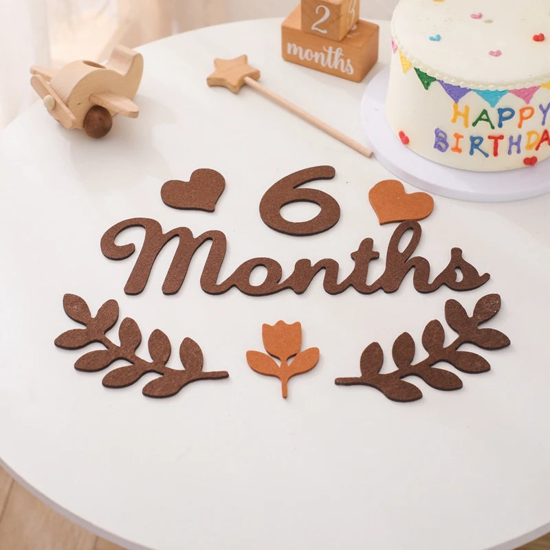 Felt Newborn Photography Milestone Props 0-12 Months