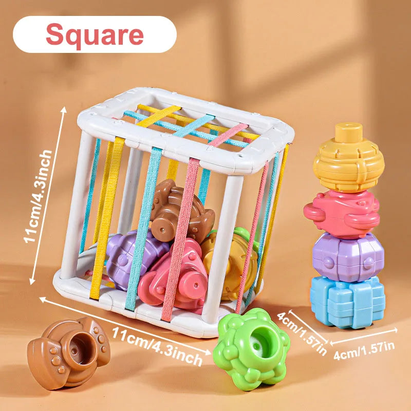 Montessori Colorful Blocks Sorting Game for Babies