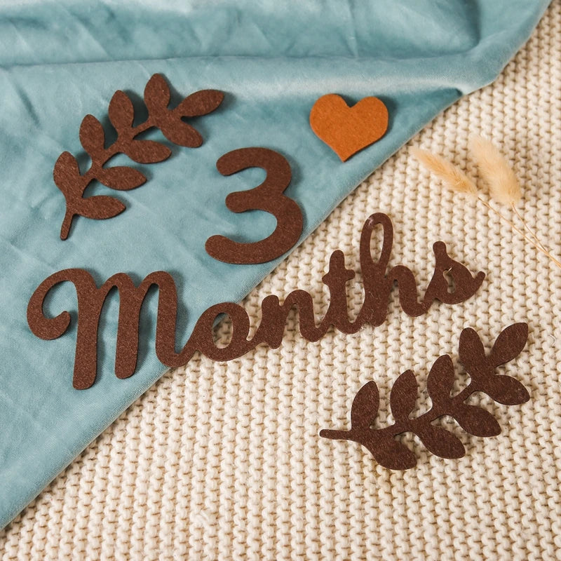 Felt Newborn Photography Milestone Props 0-12 Months
