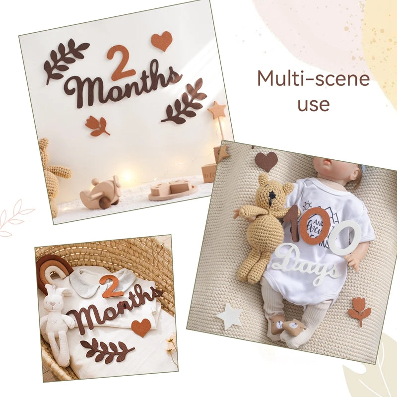 Felt Newborn Photography Milestone Props 0-12 Months