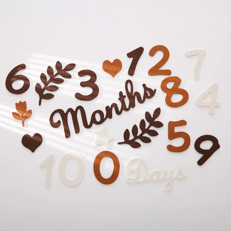 Felt Newborn Photography Milestone Props 0-12 Months