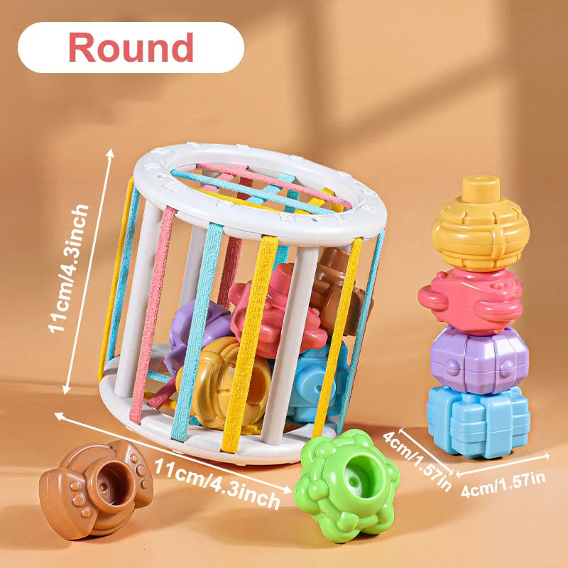 Montessori Colorful Blocks Sorting Game for Babies