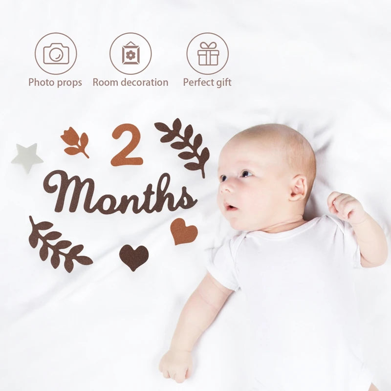 Felt Newborn Photography Milestone Props 0-12 Months