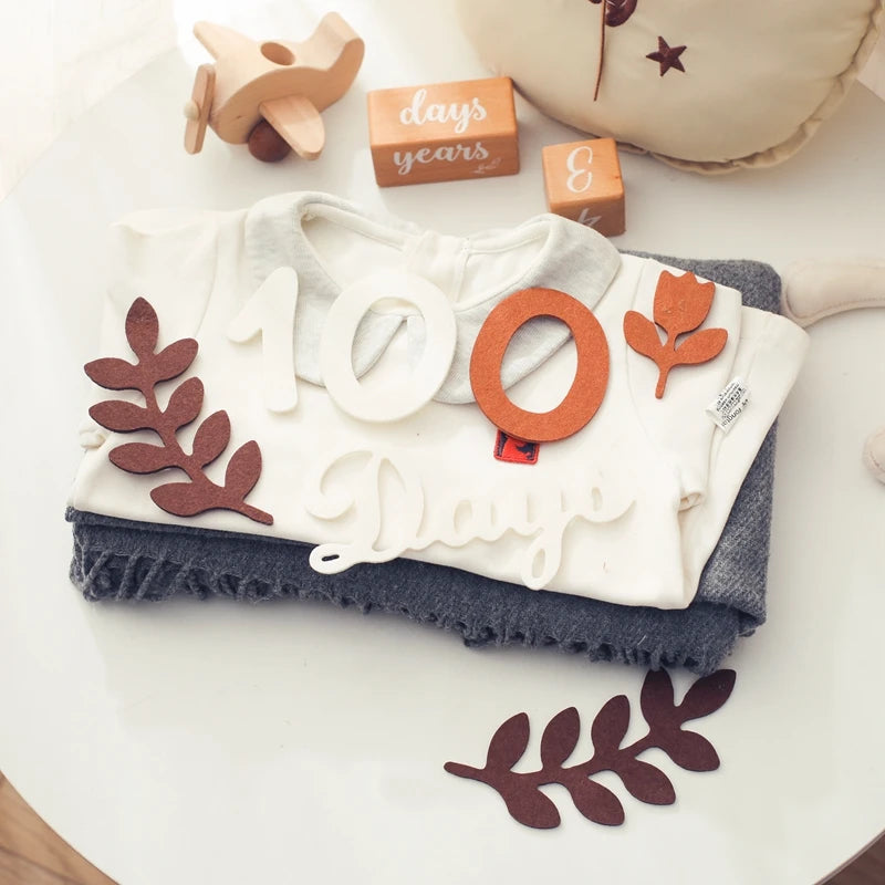 Felt Newborn Photography Milestone Props 0-12 Months