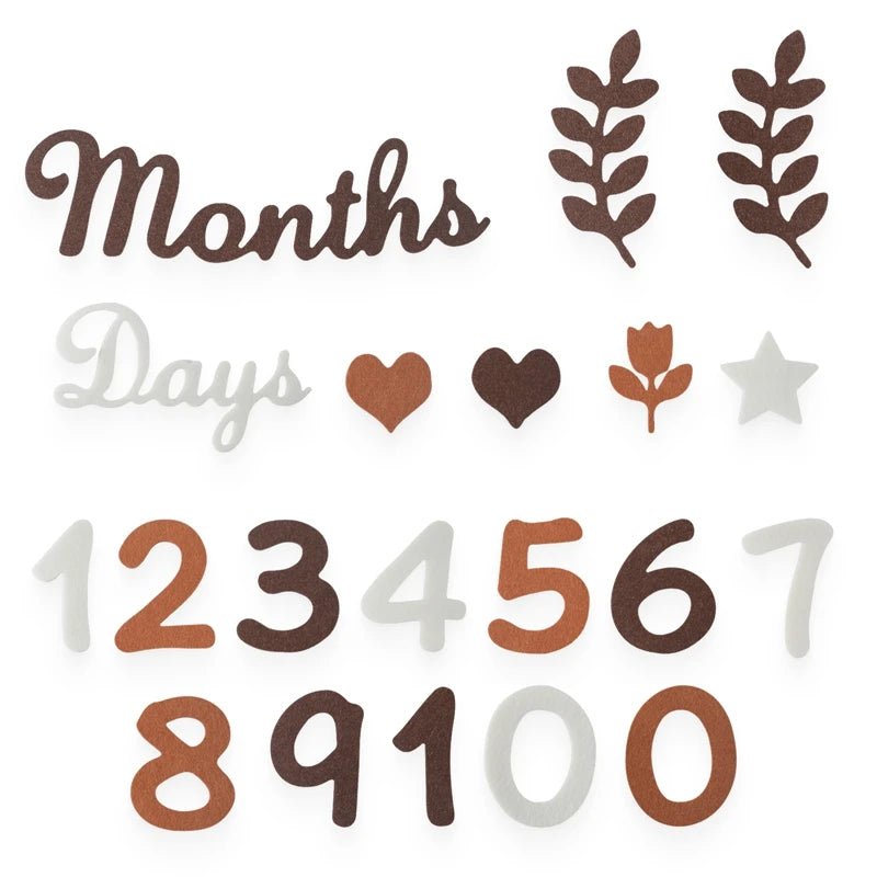 Felt Newborn Photography Milestone Props 0-12 Months