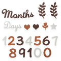 Felt Newborn Photography Milestone Props 0-12 Months