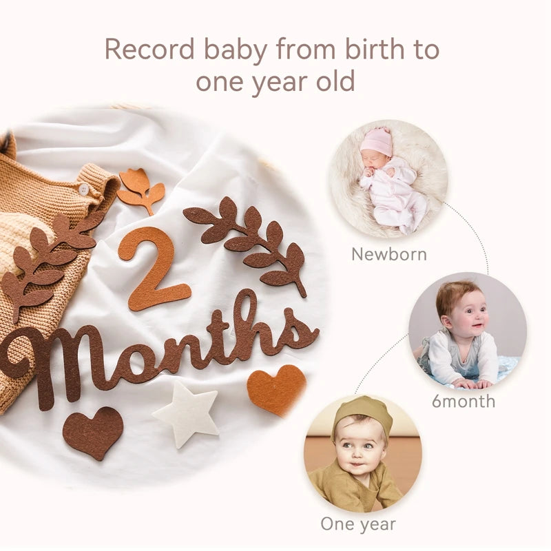 Felt Newborn Photography Milestone Props 0-12 Months