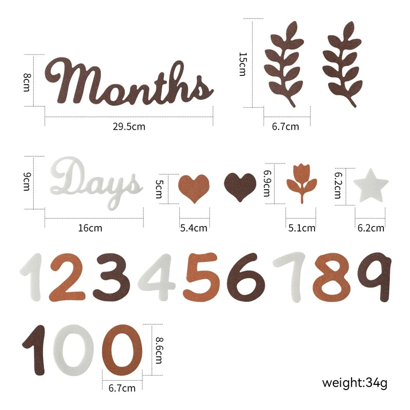 Felt Newborn Photography Milestone Props 0-12 Months