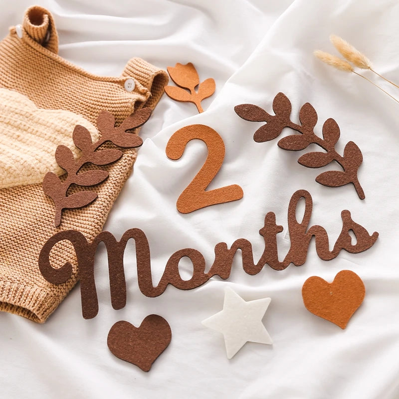 Felt Newborn Photography Milestone Props 0-12 Months