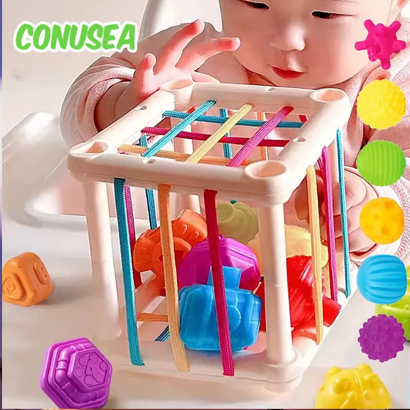 Montessori Colorful Blocks Sorting Game for Babies