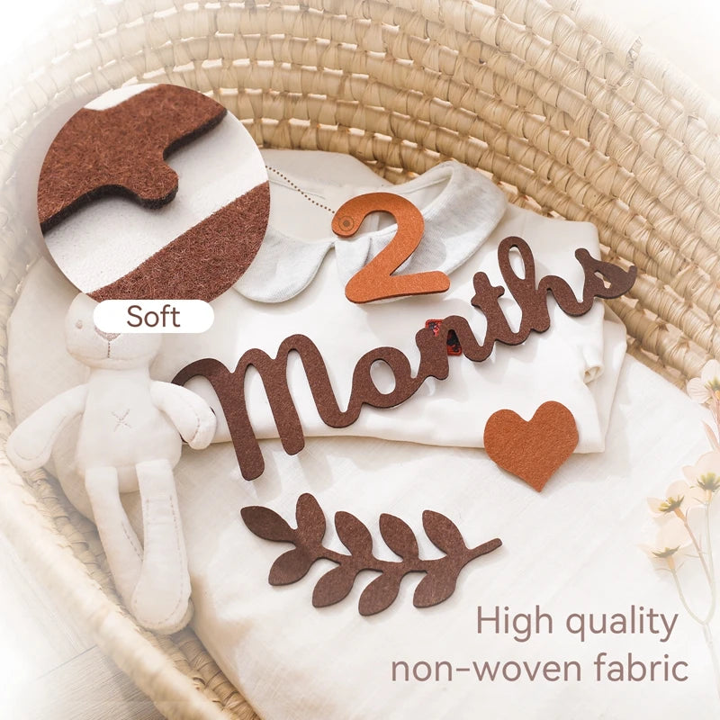 Felt Newborn Photography Milestone Props 0-12 Months