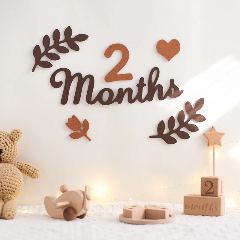Felt Newborn Photography Milestone Props 0-12 Months