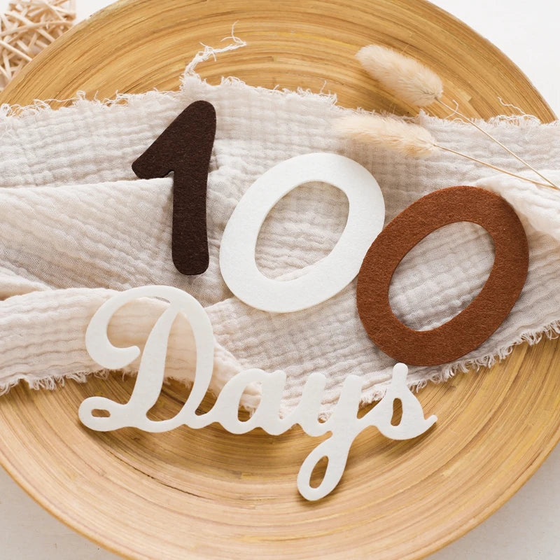 Felt Newborn Photography Milestone Props 0-12 Months