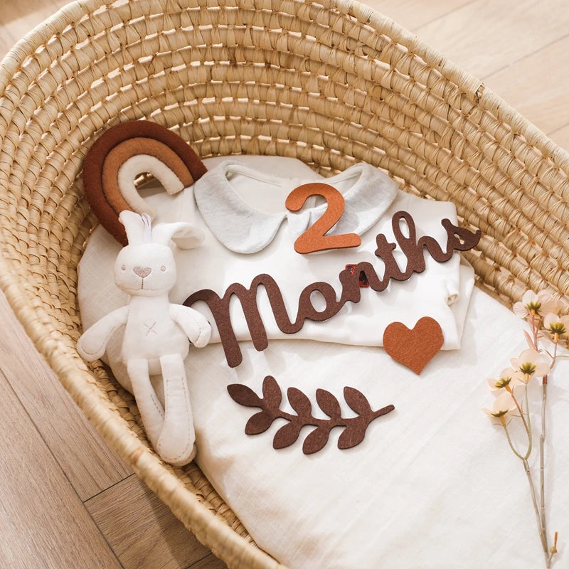 Felt Newborn Photography Milestone Props 0-12 Months
