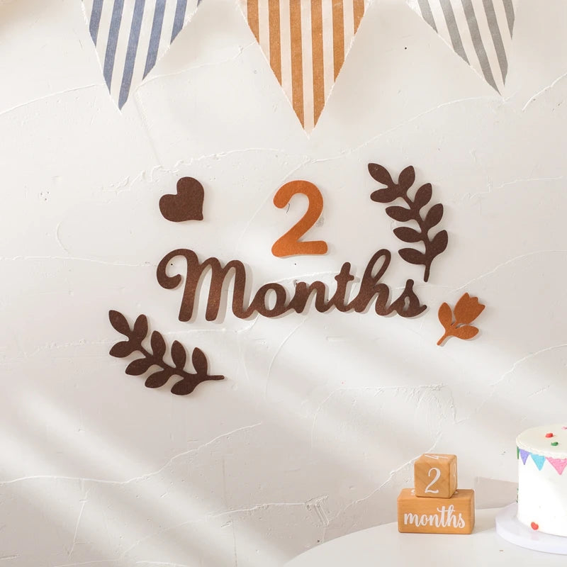 Felt Newborn Photography Milestone Props 0-12 Months